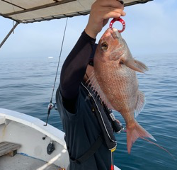 幸吉丸 釣果