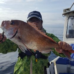 海峰 釣果