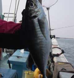 松福丸 釣果