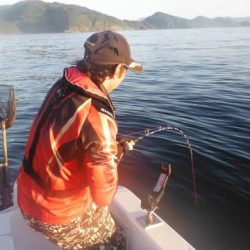 開進丸 釣果