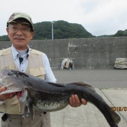 大進丸（新潟） 釣果