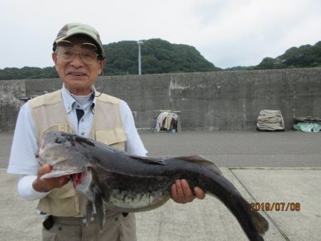 大進丸（新潟） 釣果