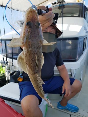 遊漁船　ニライカナイ 釣果