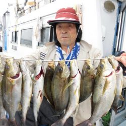 まとばや 釣果