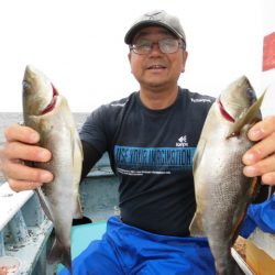 まとばや 釣果