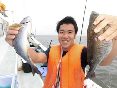 まとばや 釣果