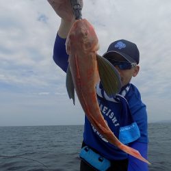 フィッシングボート空風（そらかぜ） 釣果