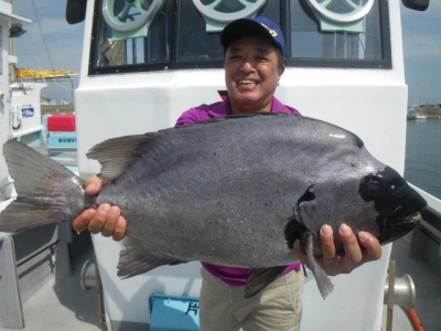 磯部釣船 直栄丸 釣果