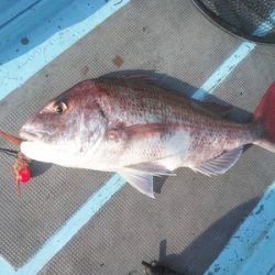 はしくに 釣果