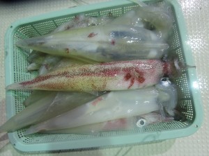 兼六丸 釣果