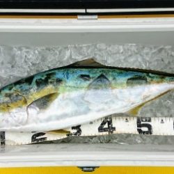 火遠理丸（ほおりまる） 釣果