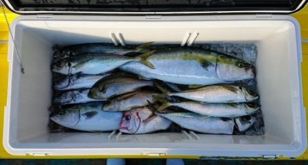 火遠理丸（ほおりまる） 釣果