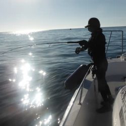 開進丸 釣果