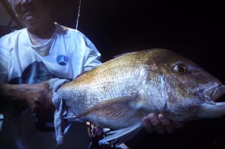 松福丸 釣果