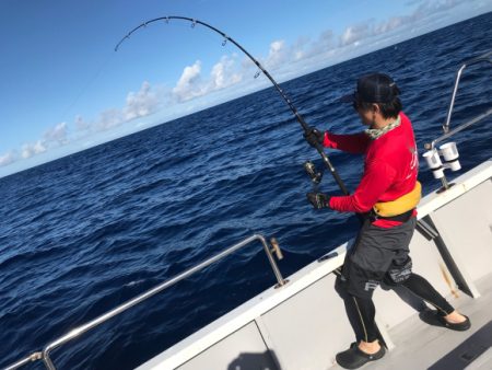 まると屋 釣果