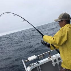 まると屋 釣果