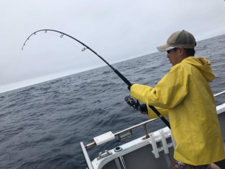 まると屋 釣果