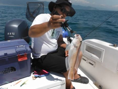 開進丸 釣果