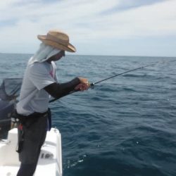 開進丸 釣果