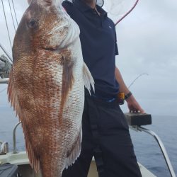 海峰 釣果