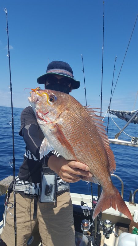 海峰 釣果