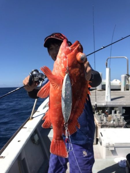 たいし丸 釣果