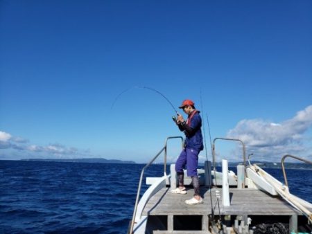 たいし丸 釣果