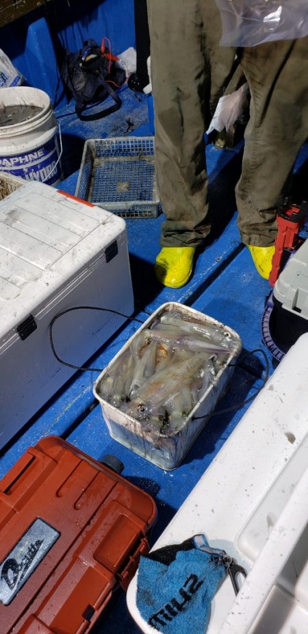 海龍丸（石川） 釣果