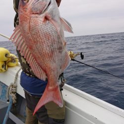 だて丸 釣果