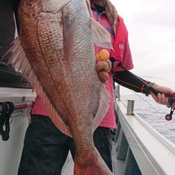 だて丸 釣果