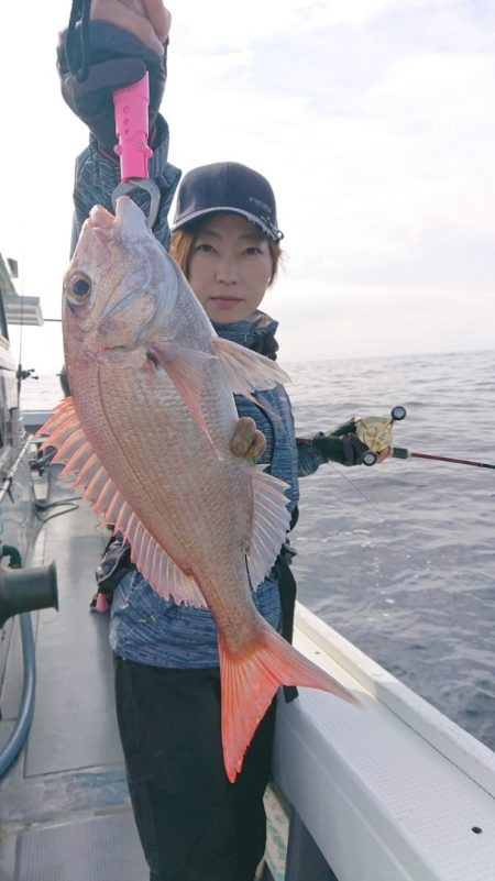 だて丸 釣果