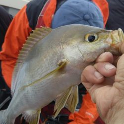 光生丸 釣果