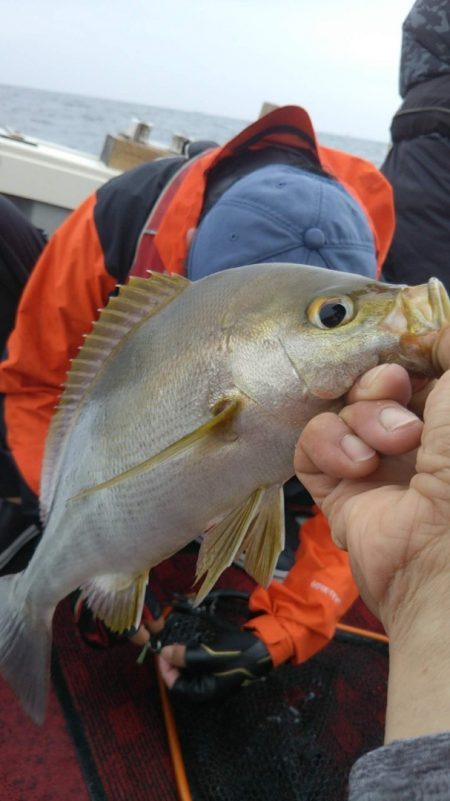 光生丸 釣果