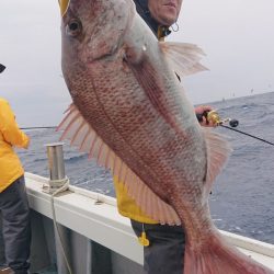 だて丸 釣果