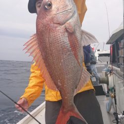 だて丸 釣果