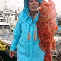 だて丸 釣果