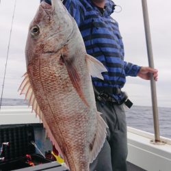 だて丸 釣果