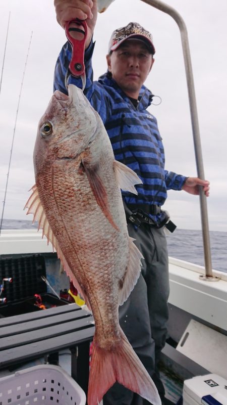 だて丸 釣果