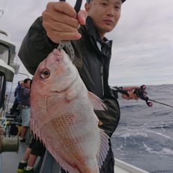 だて丸 釣果