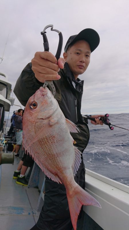 だて丸 釣果