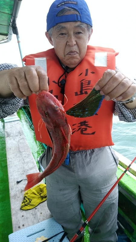 小島丸 釣果