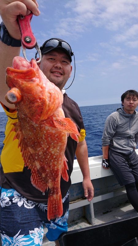 だて丸 釣果