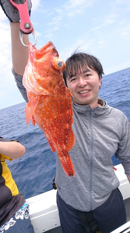 だて丸 釣果