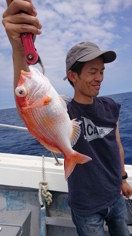 だて丸 釣果