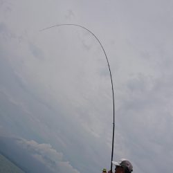 シースナイパー海龍 釣果