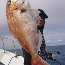 だて丸 釣果