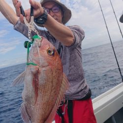 だて丸 釣果