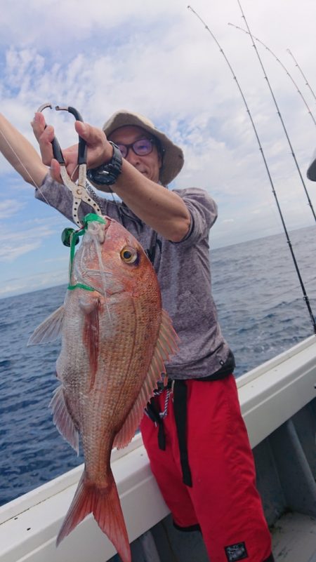 だて丸 釣果