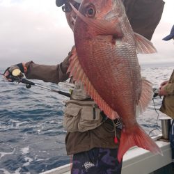 だて丸 釣果