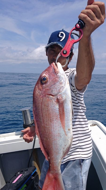 だて丸 釣果